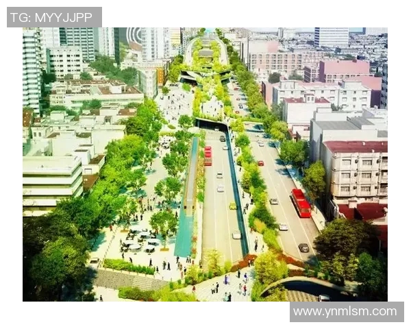 嘉兴篮球明星的崛起与发展探索展现城市篮球文化的魅力与潜力